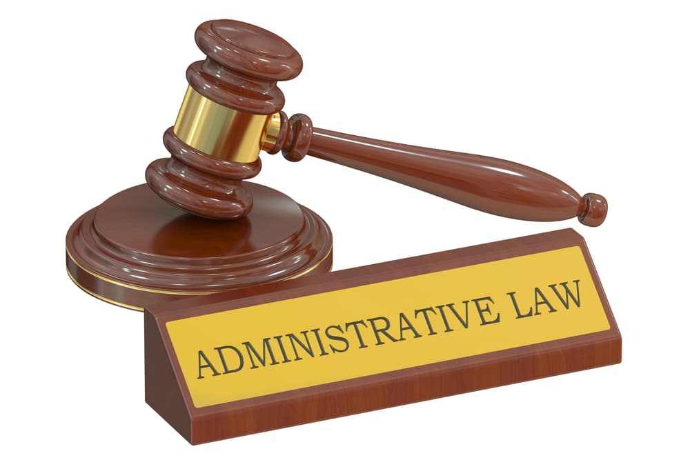 Top 10 Administrative Law Judgements - February 2026 | LegalWiki