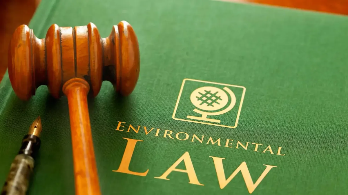 Top 10 Environmental Law Judgments – Feb 2026 | LegalWiki