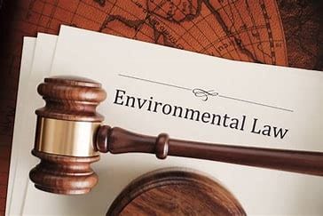 Top Supreme Court and High Court Environment Law Judgments – May 2025 | LegalWiki