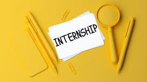 Internship Opportunity at Prowillow, Jodhpur : Apply Now!