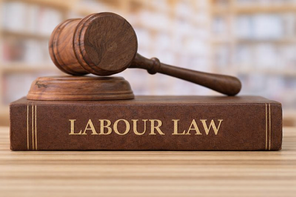 Top Labour Law Judgments –December 2025 | LegalWiki