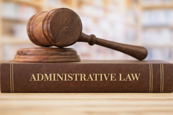 Top 10 Administrative Law Judgments I January 1st-15th, 2026 I LegalWiki !