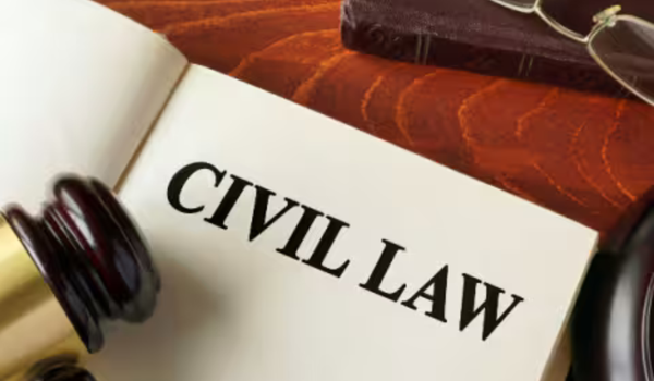Top 10 Civil Law Judgments – February 2026 | LegalWiki